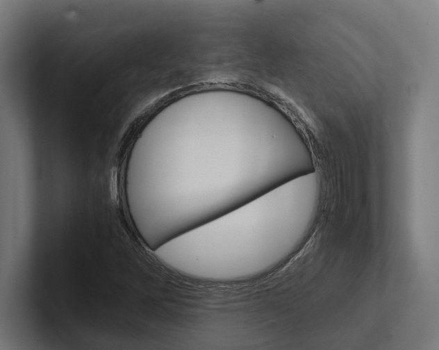 X0000102381262200808010907