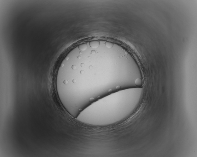 X0000102381263200808010907