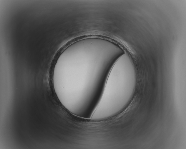 X0000102381264200808010907