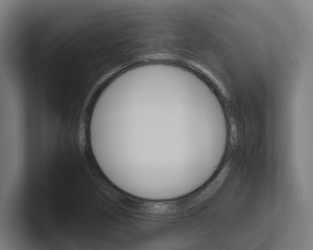 X0000102381266200808010907