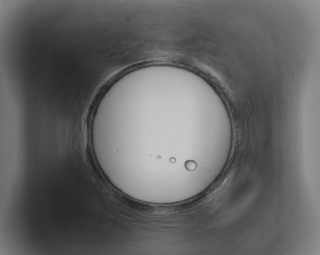 X0000102381267200808010907