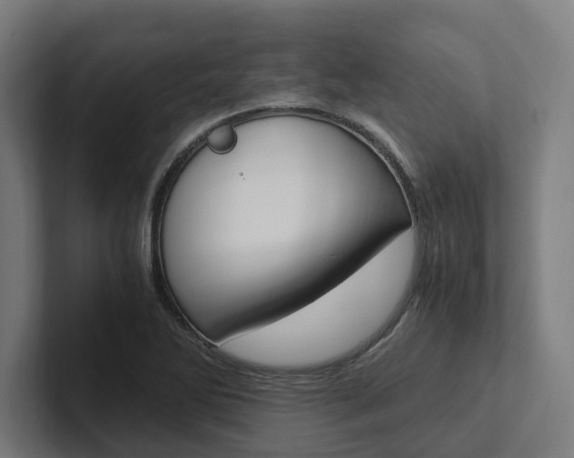 X0000102381270200808010907