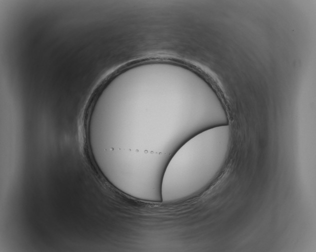 X0000102381271200808010907