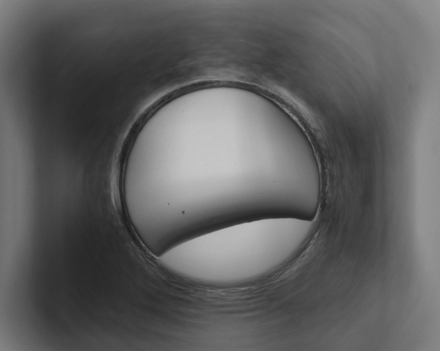 X0000102381272200808010907