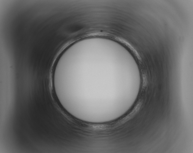 X0000102381274200808010907
