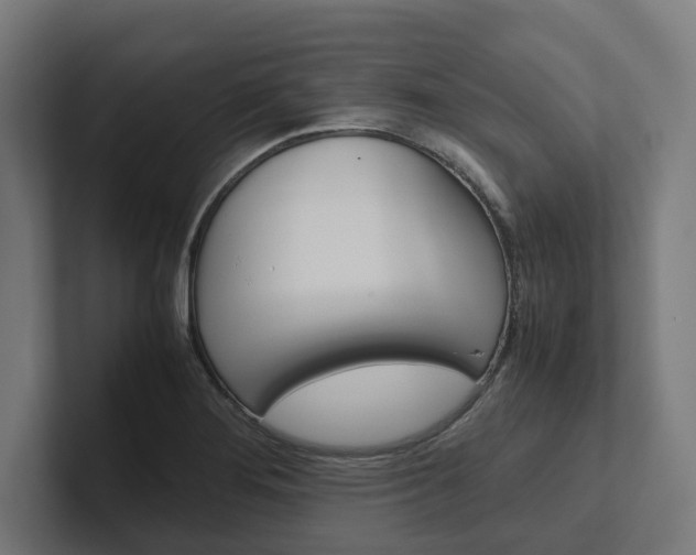 X0000102381276200808010907