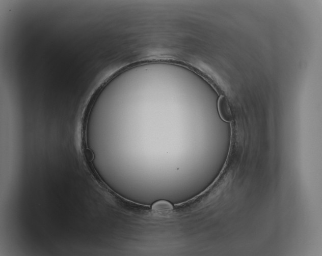 X0000102381277200808010907