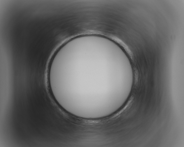 X0000102381278200808010907
