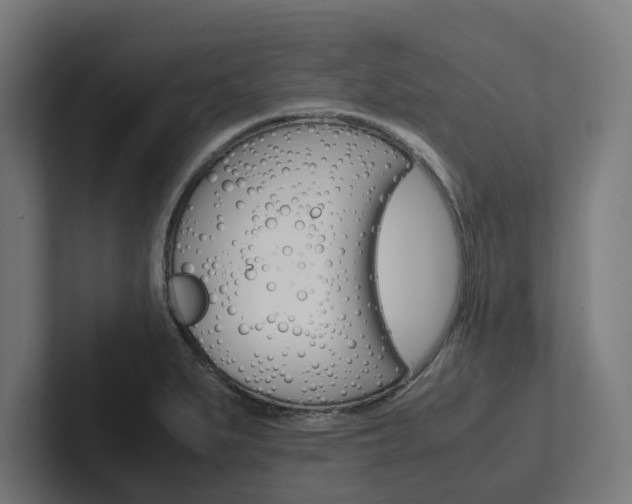 X0000102381279200808010907