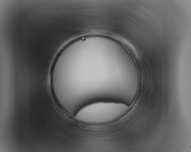 X0000102381280200808010907