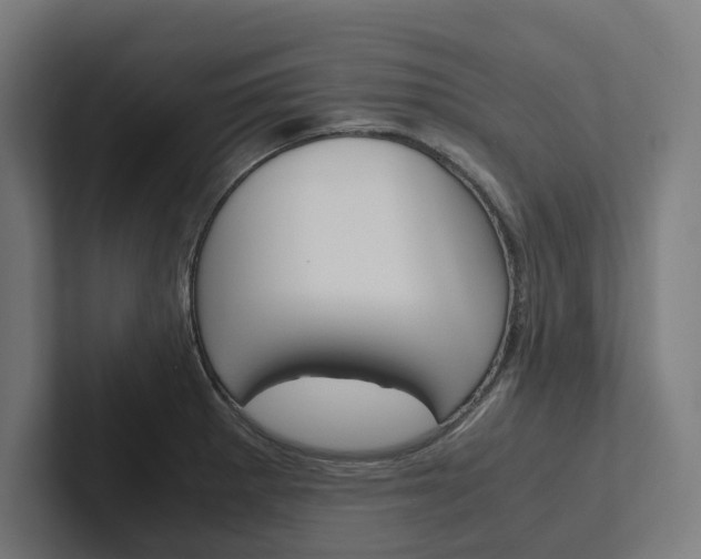 X0000102381281200808010907