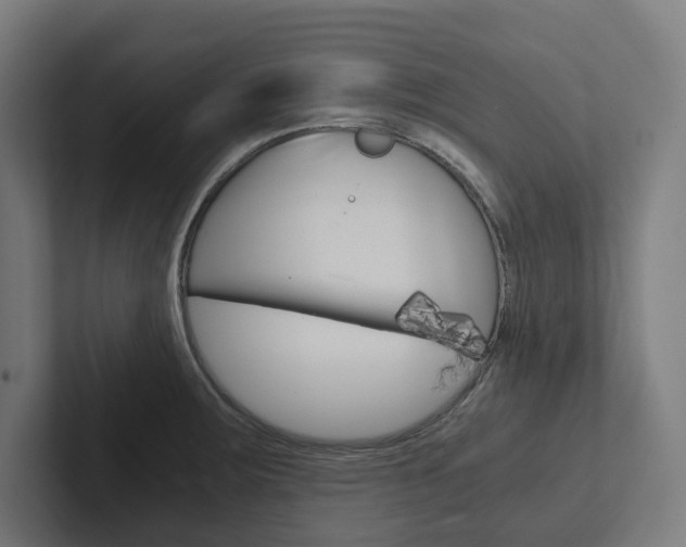 X0000102381283200808010907