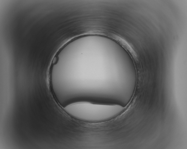 X0000102381284200808010907