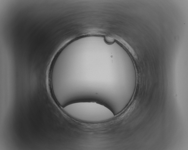 X0000102381285200808010907