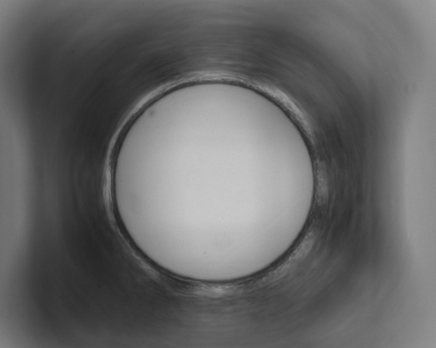 X0000102381286200808010907