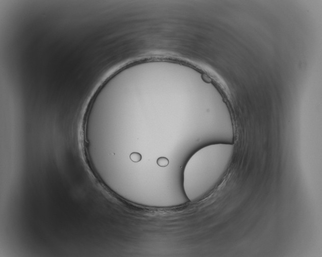 X0000102381287200808010907