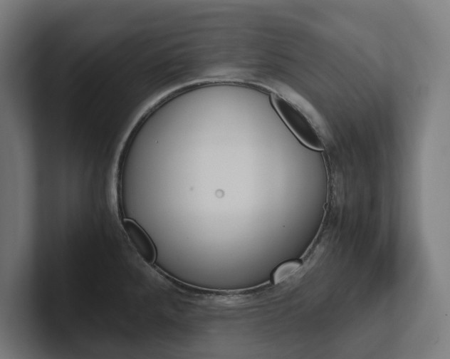 X0000102381288200808010907