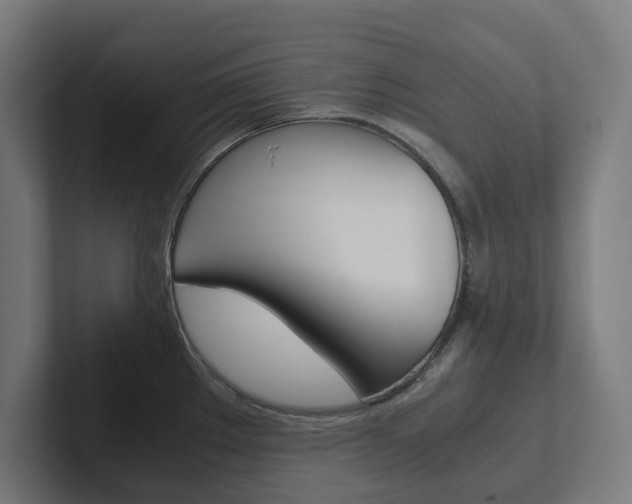 X0000102381289200808010907