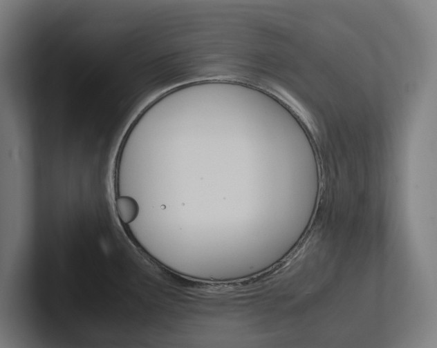 X0000102381291200808010907