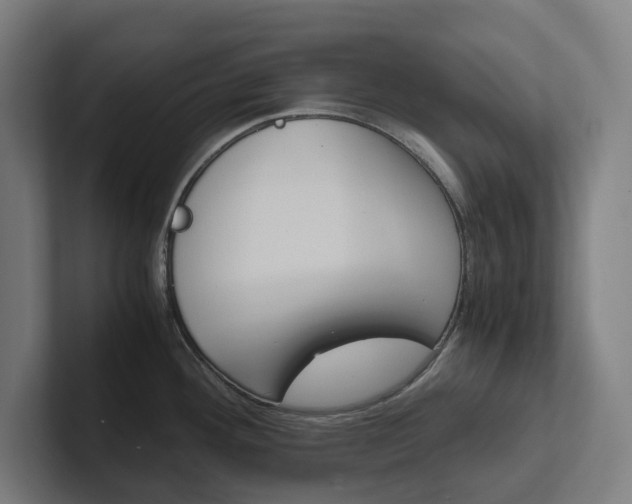 X0000102381292200808010907