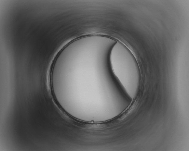 X0000102381293200808010907