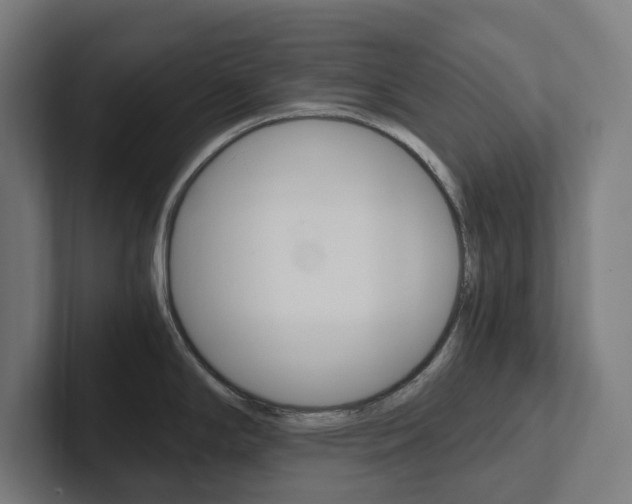 X0000102381294200808010907