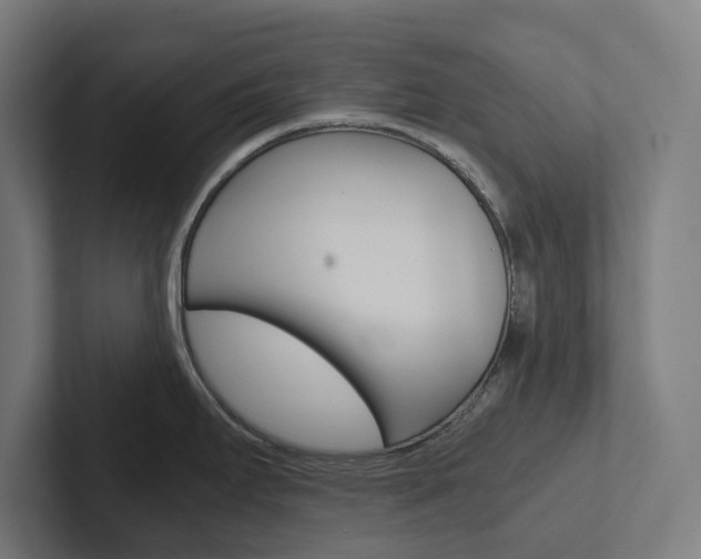 X0000102381295200808010907