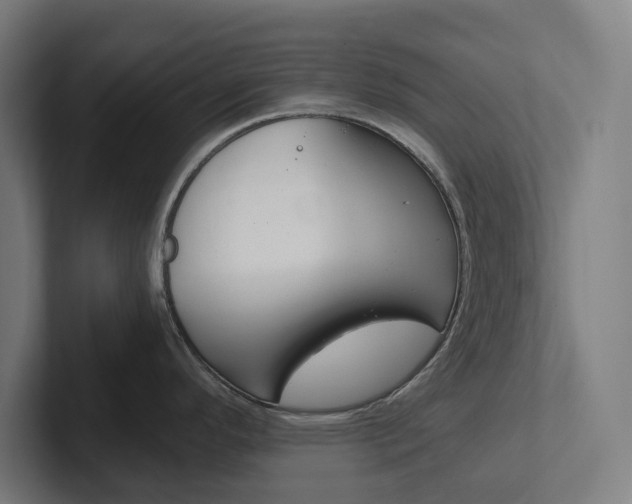 X0000102381296200808010907