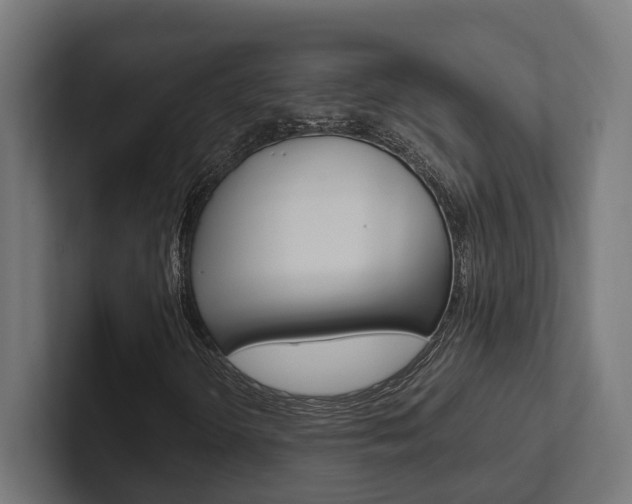 X0000102381298200808010906