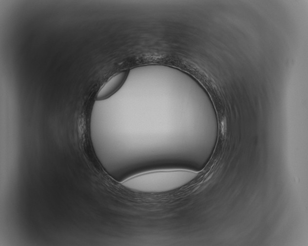 X0000102381299200808010906