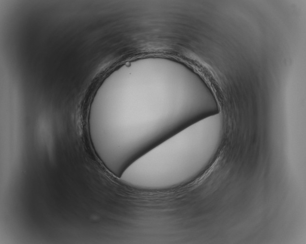 X0000102381306200808010906