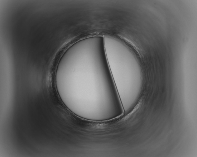 X0000102381309200808010906