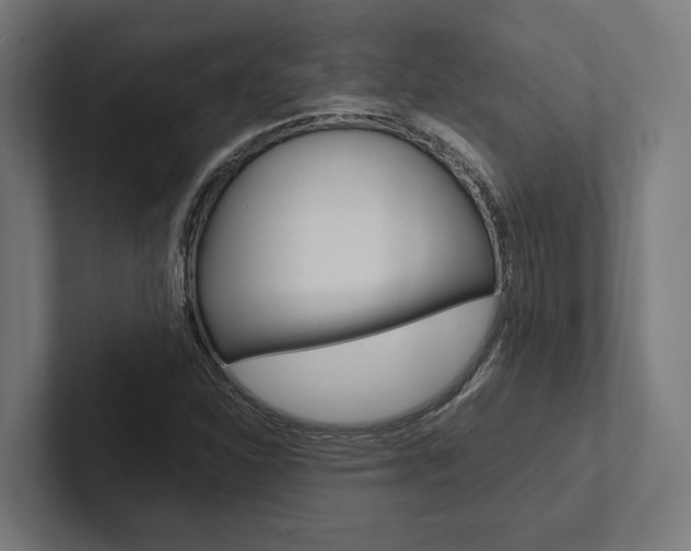 X0000102381310200808010906