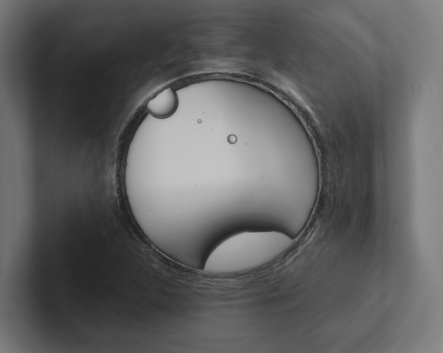 X0000102381312200808010906