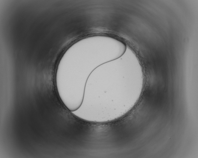 X0000102381314200808010906
