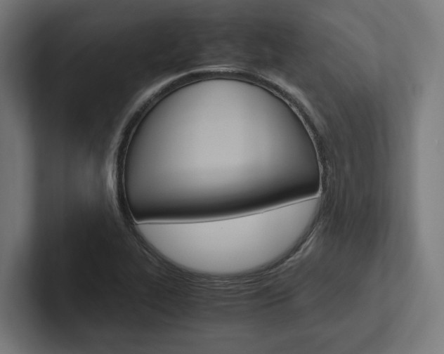 X0000102381319200808010906