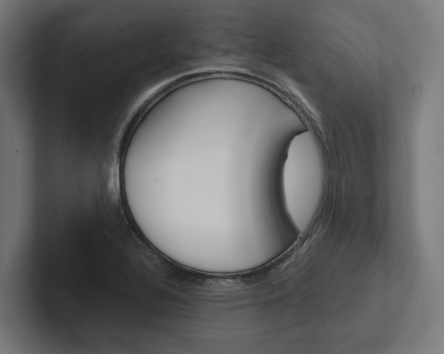 X0000102381320200808010906