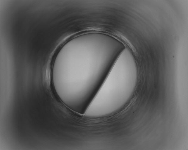 X0000102381323200808010906