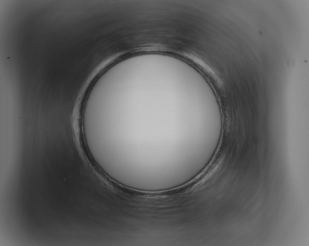 X0000102381325200808010906