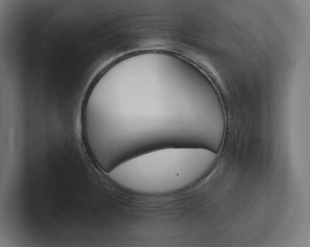 X0000102381328200808010906