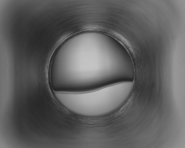 X0000102381330200808010906