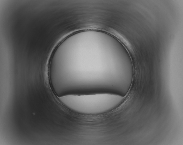 X0000102381332200808010906