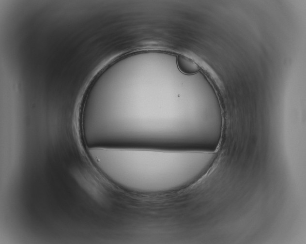 X0000102381333200808010906