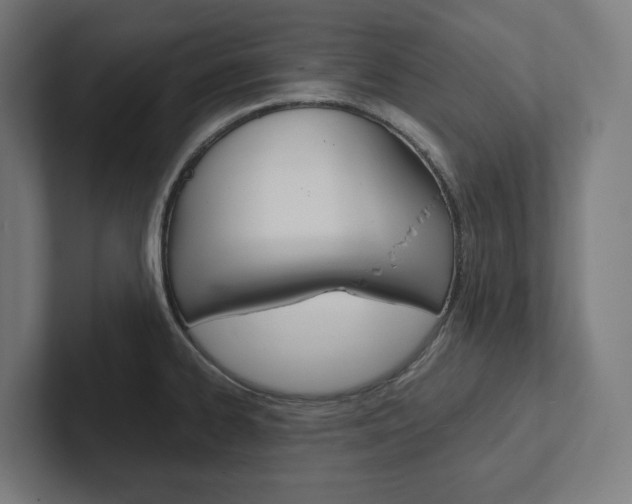 X0000102381334200808010906