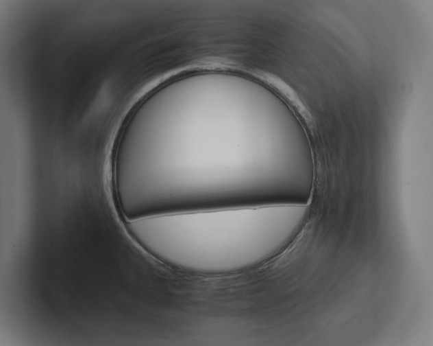 X0000102381335200808010906