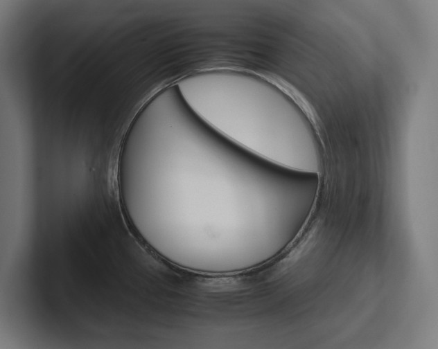 X0000102381337200808010907