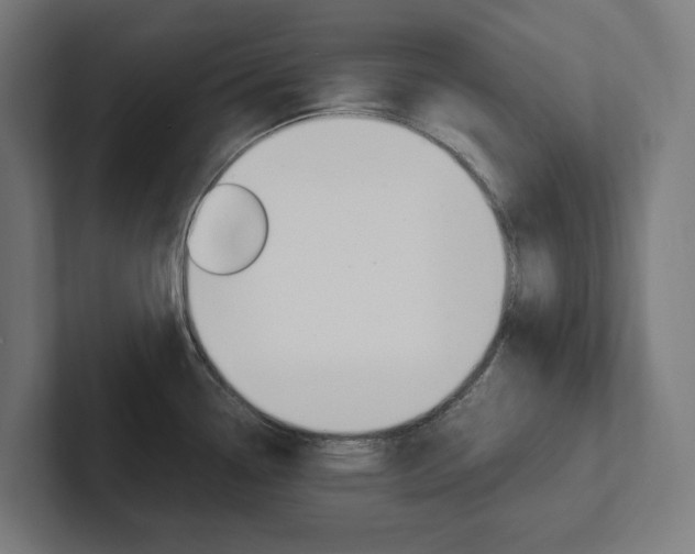 X0000102381338200808010907