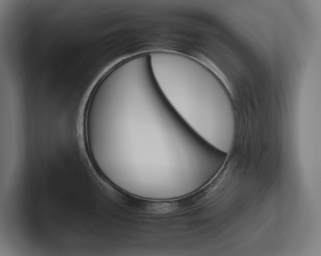 X0000102381339200808010907