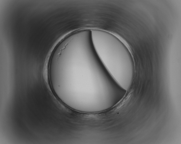 X0000102381341200808010907
