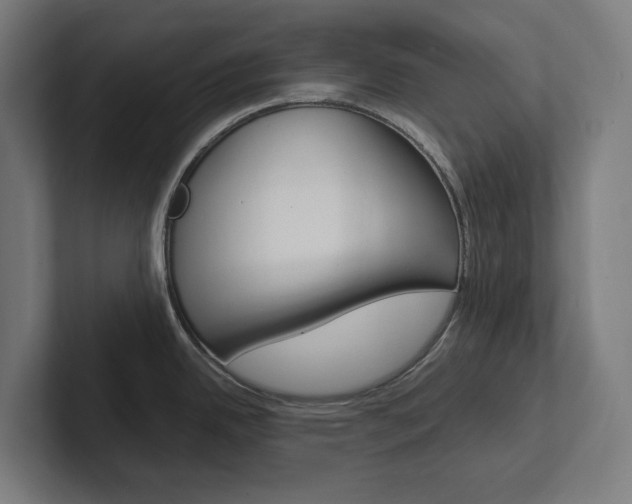 X0000102381342200808010907